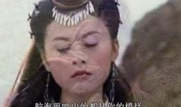 风萧萧电视剧在线观看,穿越时空的浪漫传奇，在线观看重温经典