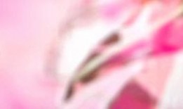 33伦理在线观看,揭秘伦理道德的深度解读